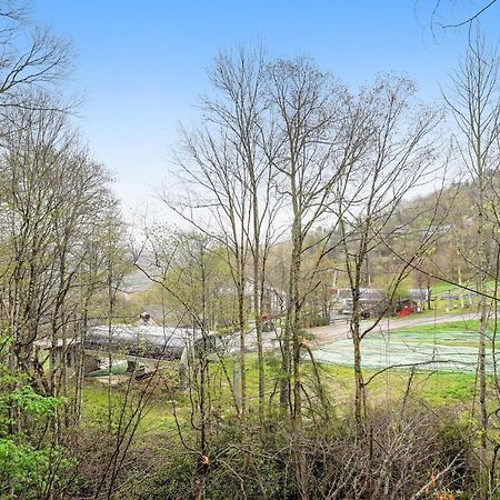Apartament Bee Branch 27 Sugar Mountain Zewnętrze zdjęcie